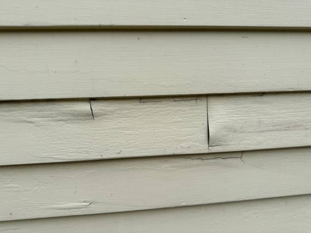 Affordable Siding Repair and Maintenance Services in Forrest City, AR